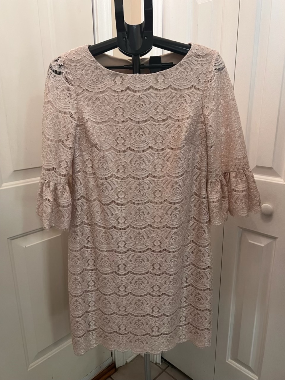 Jessica Howard Sz 8 Elegant Lace Shift Dress in Blush